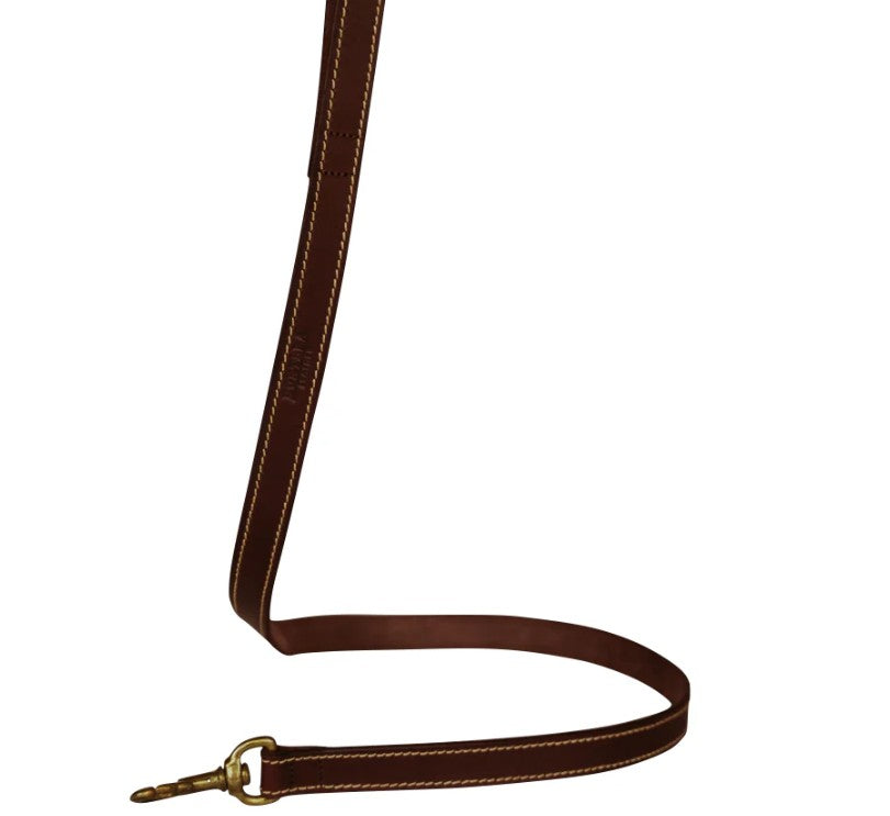 Huntlea Lion Dog Leather Lead