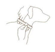 Huntlea Impala Mighty Plain Dog Leather Collar