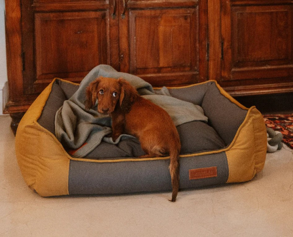 Huntlea All Season Bolster Dog Bed
