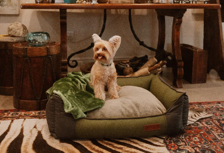 Huntlea All Season Bolster Dog Bed