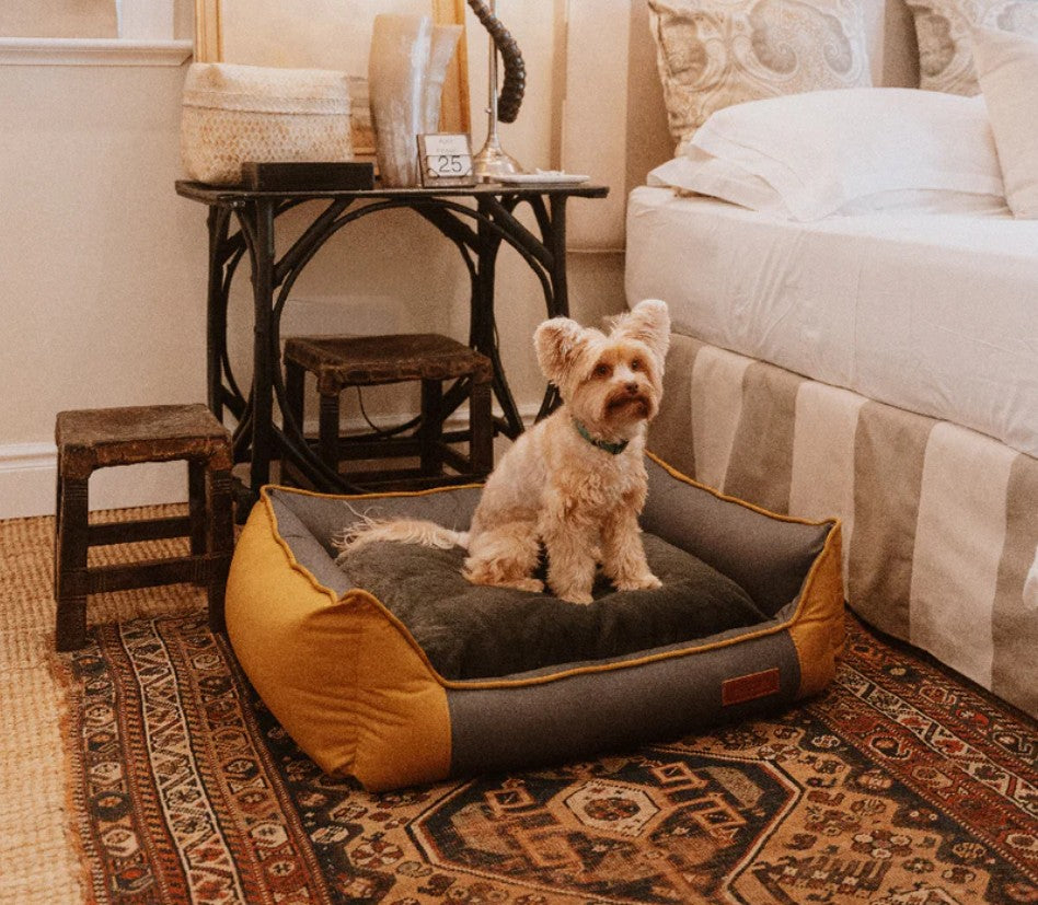 Huntlea All Season Bolster Dog Bed