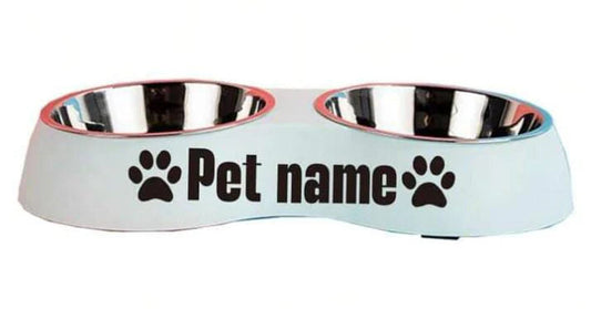 Personalized Double Stainless Steel Pet Bowl – Non-Slip & Mess-Free