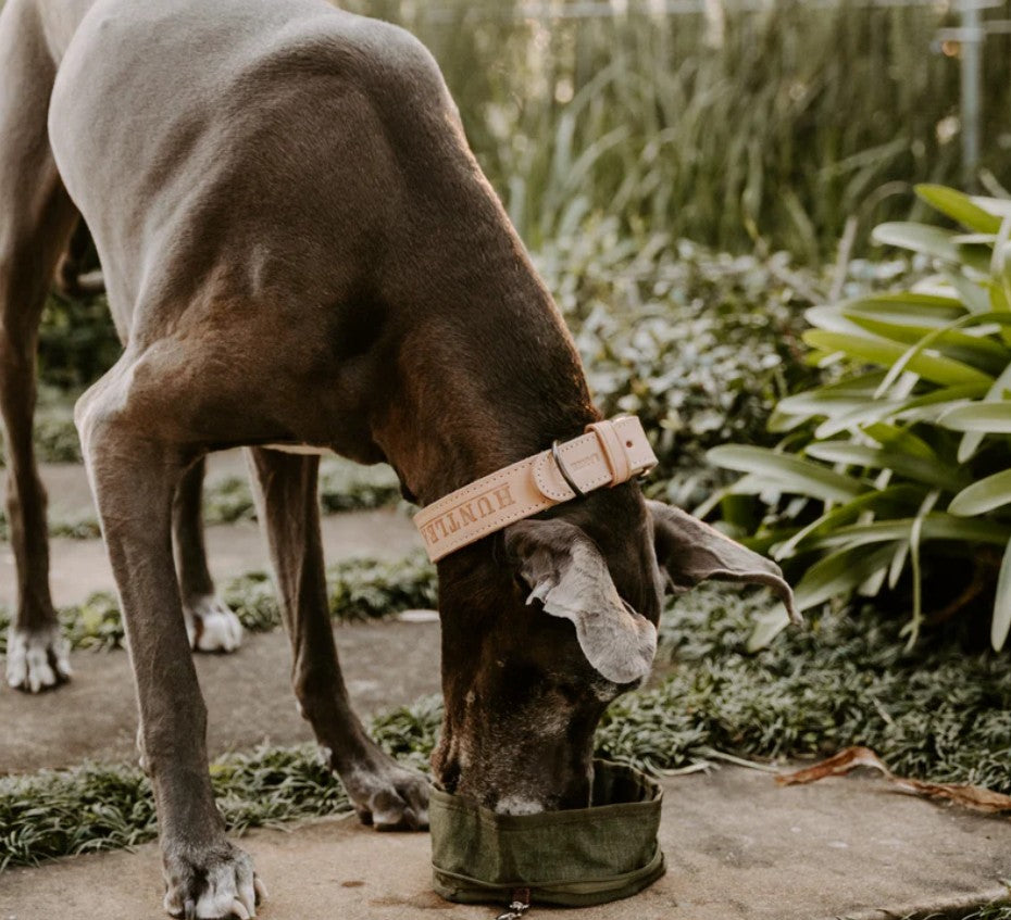 Huntlea Adventure Water & Food Bowl
