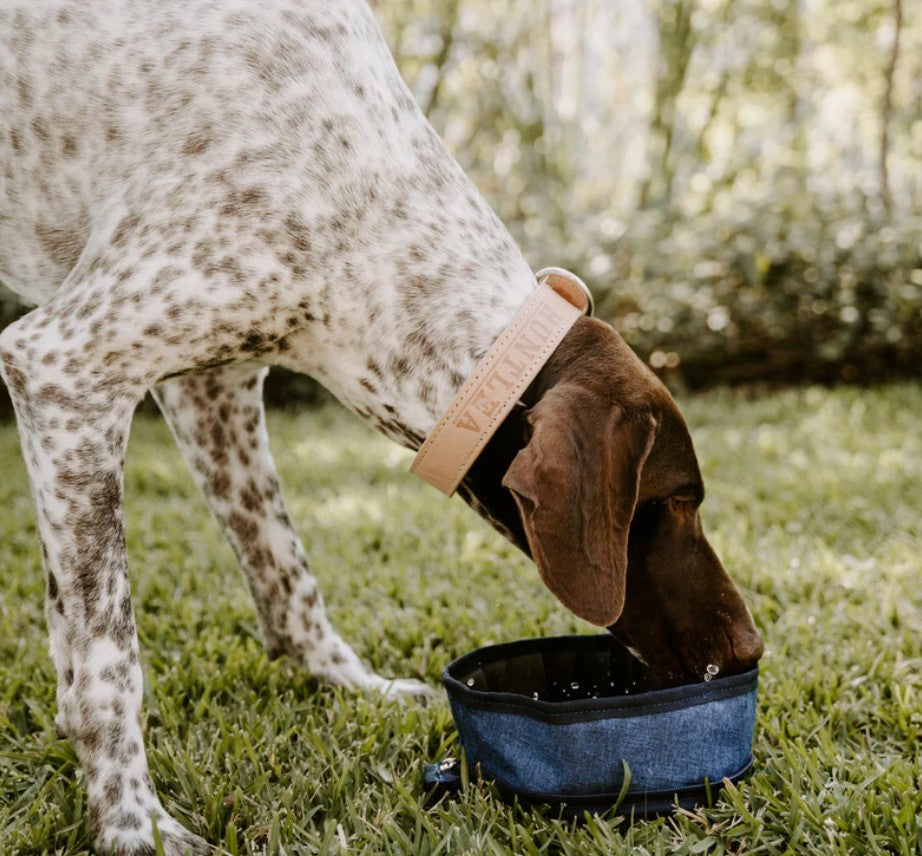 Huntlea Adventure Water & Food Bowl