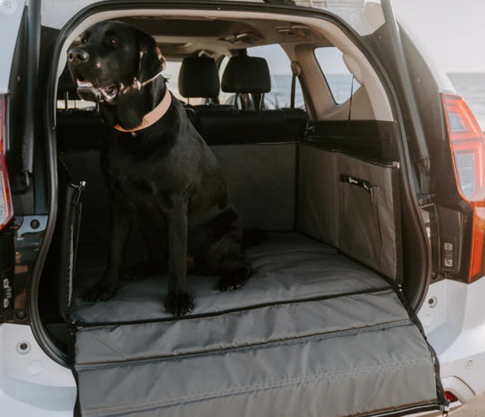 Huntlea Dog Boot Box