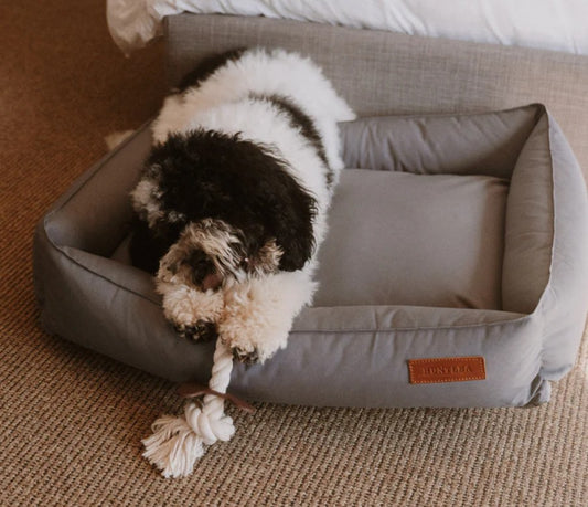 Huntlea Dog Rope Toy 3 Knot