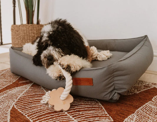 Huntlea Dog Rope Toy 5 Knot