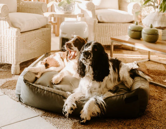 Huntlea Kalahari Slumber Dog Bed