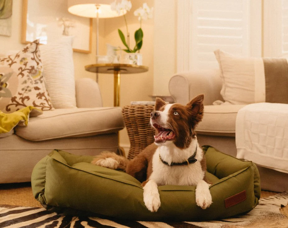 Huntlea Koletto Bolster Plain Dog Bed