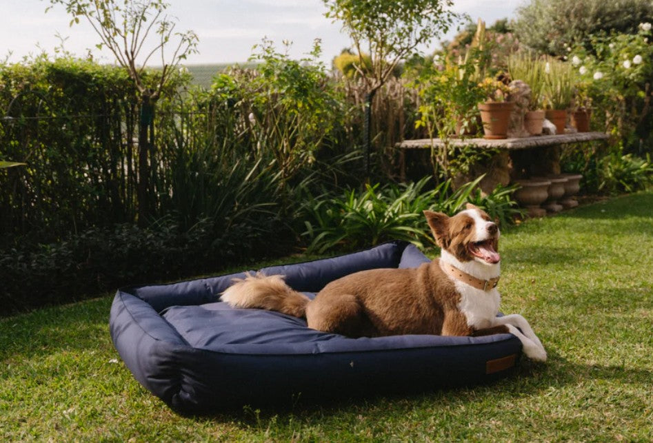 Huntlea Koletto Bolster Plain Dog Bed