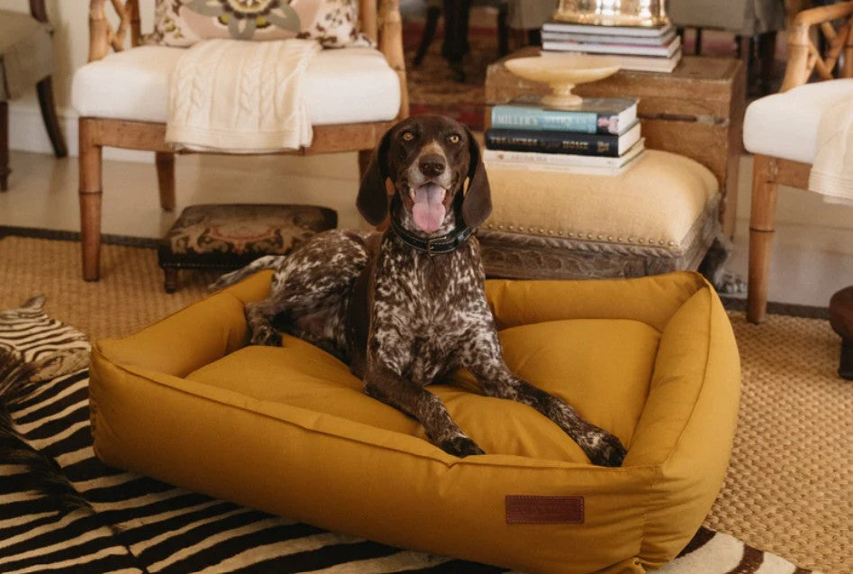 Huntlea Koletto Bolster Plain Dog Bed