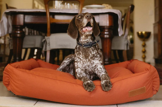 Huntlea Koletto Bolster Plain Dog Bed