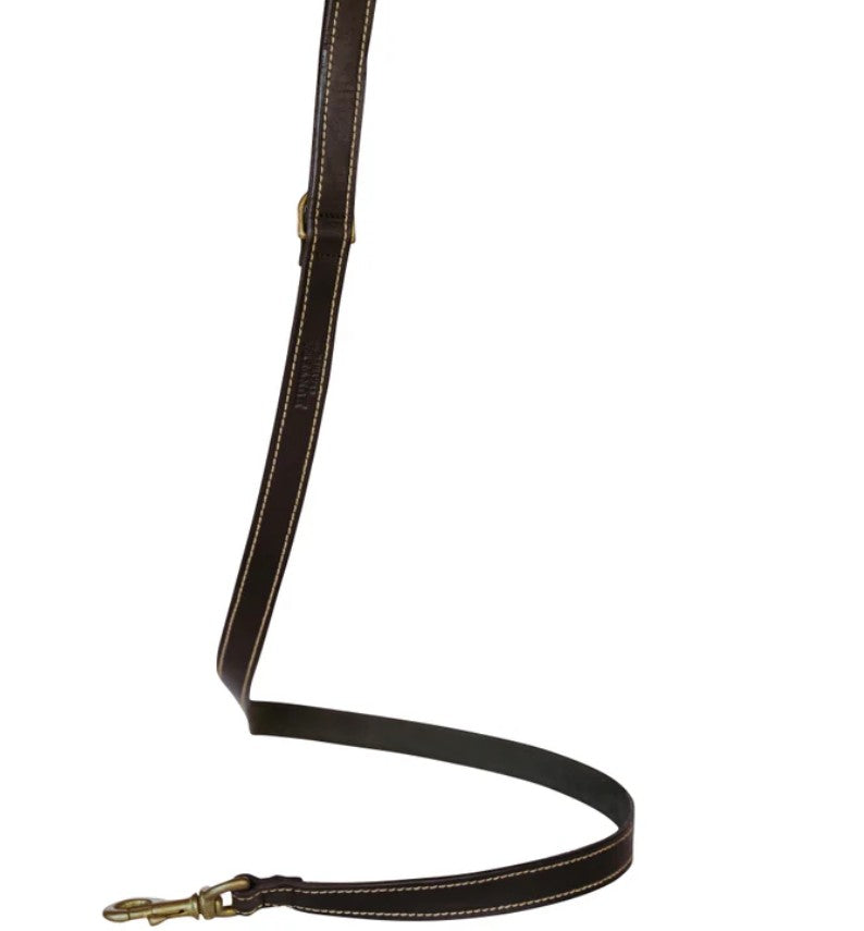 Huntlea Lion Dog Leather Lead