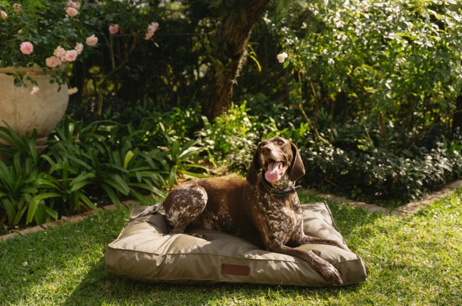 Huntlea Kalahari Orthopaedic Dog Bed