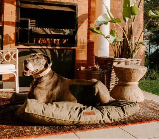 Huntlea Kalahari Orthopaedic Dog Bed
