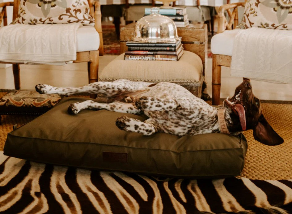 Huntlea Kalahari Orthopaedic Dog Bed