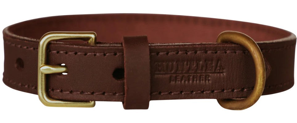 Huntlea Lion Dog Leather Collar