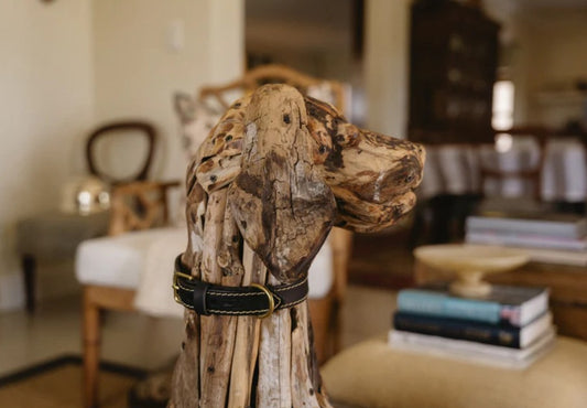 Huntlea Lion Dog Leather Collar