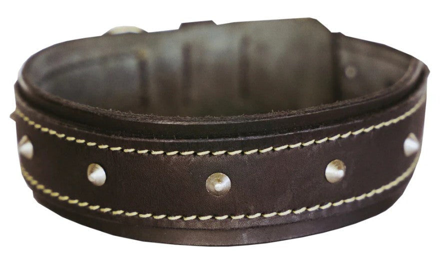 Huntlea Rhino Dog Leather Collar
