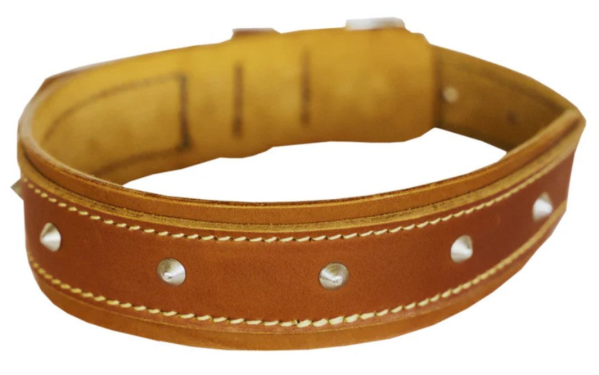 Huntlea Rhino Dog Leather Collar