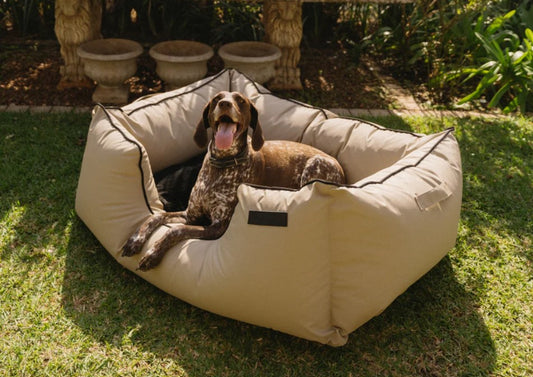 Kalahari King Dog Bed