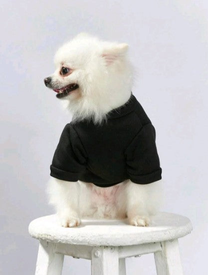 Custom Pet Portrait Pullover - The Ultimate "Pet Parent" Statement Hoodie