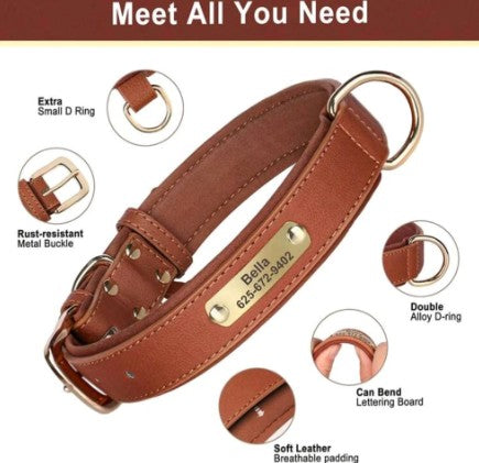 Personalized Leather Dog Collar – Custom Laser Engraved, Soft Padded & Anti-Rust Hardware
