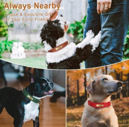 Personalized Leather Dog Collar – Custom Laser Engraved, Soft Padded & Anti-Rust Hardware