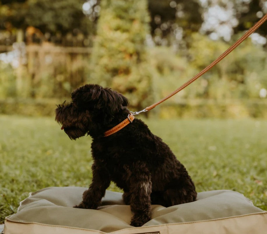 Huntlea Leopard Dog Leather Lead