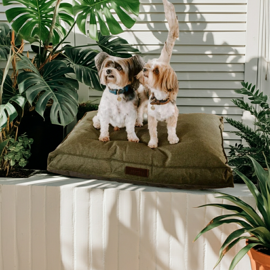 Huntlea Urban Mattress Dog Bed