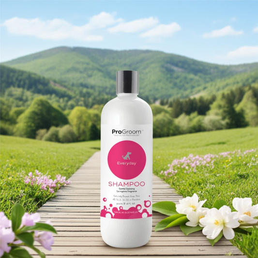 Everyday Shampoo 500ml