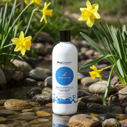 Brightening Shampoo 500ml